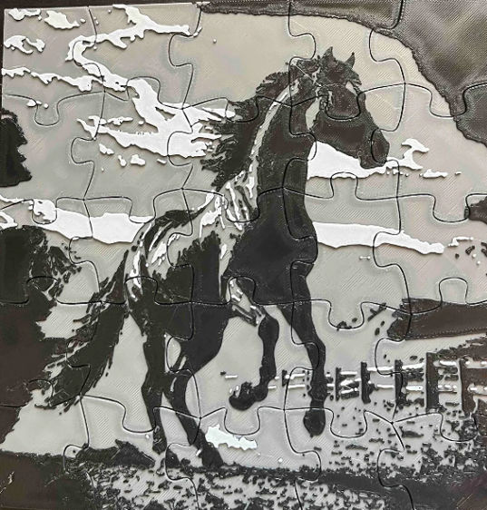 Black Stallion Puzzle