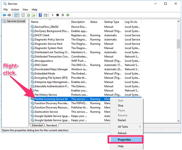 Auto-Start the FlexNet Licensing Service 64